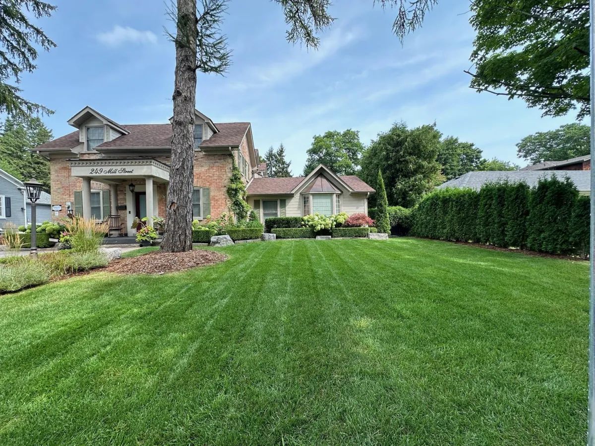綺麗に管理された空き地と住宅街